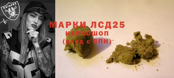 шишки Алзамай