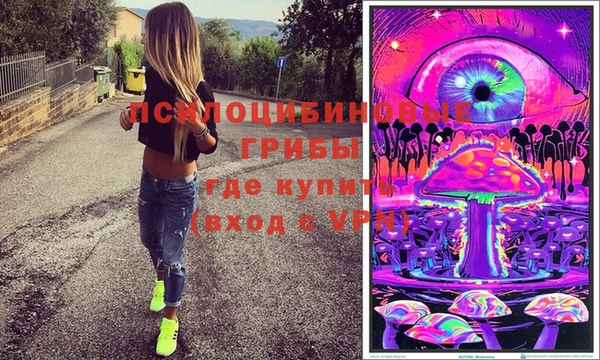 ГАЛЛЮЦИНОГЕННЫЕ ГРИБЫ Абдулино