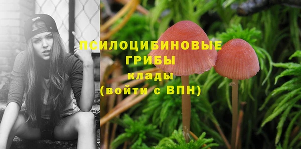 винт Абинск