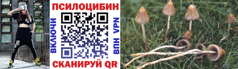 Псилоцибиновые грибы GOLDEN TEACHER  Дятьково 