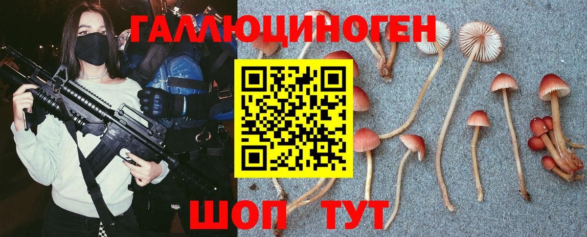 Дятьково  Псилоцибиновые грибы Psilocybe  наркотики  Вход с VPN  Галлюциногенные грибы Cubensis 