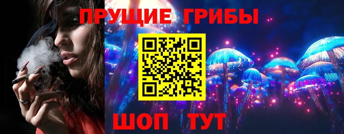 Псилоцибиновые грибы ЛСД Дятьково